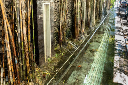 Holes in rubber piping providing a basic watering irrigation system for bamboo growing by the roadの写真素材