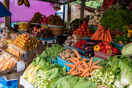 Vibrant Fresh fruit and vegetable stall at the Tabanan village market in Baliの写真素材