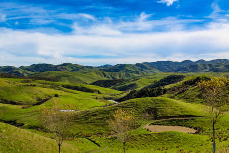 Rural agricultural farming amongst the green rolling Bideford hills in the heartlandの写真素材