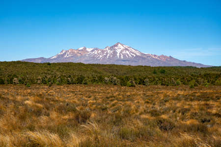 Beautiful snow capped volcano Ruapehu in New Zealand desert Roadの写真素材
