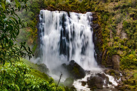 The beautiful and powerful Marokopa Falls deep in lush green native bush in New Zealandの写真素材