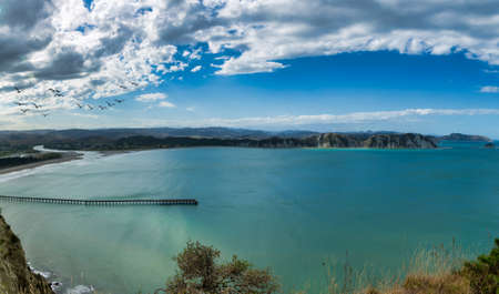 Scenic views of Tolaga Bay and its historic wharf photobombed  by a group sea birdsの写真素材