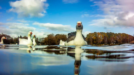 a bird sitting on top of a tableの写真素材