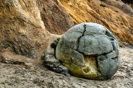 One of the famous Moeraki boulders still attached to the cliff on the Dunedin beachの写真素材