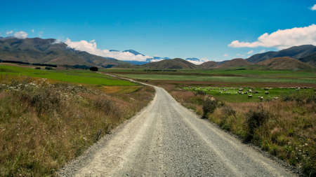 long and winding gravel road through rural Timaru agriculture and farmland, near the Taiko Hill areaの写真素材