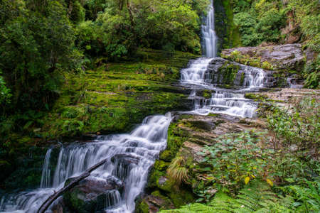 McLean waterfall in the lush rain forest in the Catlins Otago districtの写真素材