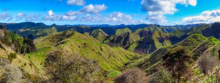 The dramatic extreme  mountain and hill agricultural and farming land around Ruakawa in the Whanganui districtの写真素材