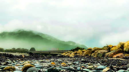 Pile of driftwood and logs washed up on the   beach  covered in rocks and stones