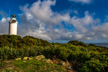 A stunning coastal walk starting at Tauranga bay (Westport NZ) following the cliff edge, past rugged coastal scenery, a seal colony and deserted beaches and arrive at this little lの写真素材