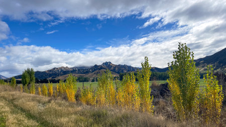 Agricultural rural sheep farm and cattle station in the highlands of the Southern alps