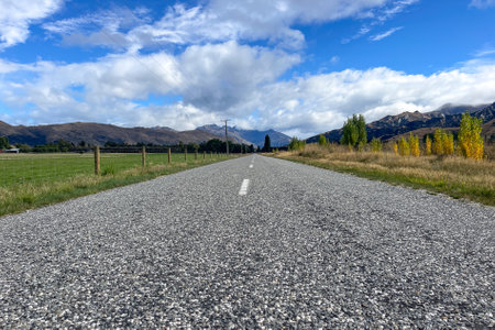 Road through an ggricultural rural sheep farm and cattle station in the highlands of the Southern alpsの写真素材