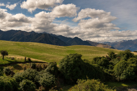 Agricultural rural farming fields and pasture on the shore of Lake Haweaの写真素材