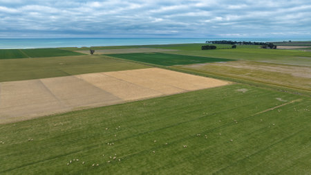 Aerial photograph of land plots in the farming countryside of the South Island New Zealand close to...