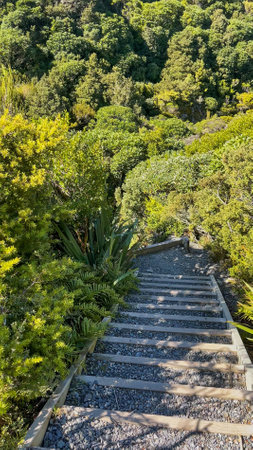 Some of the 3300 steps on the Sealy Tarns Track walk in Mt Cook National Park
