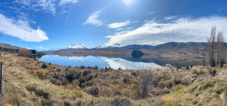 Grassy foreshore on the edge of Lake Clearwater beneath the southern alps in Hakatere conservation parkの写真素材
