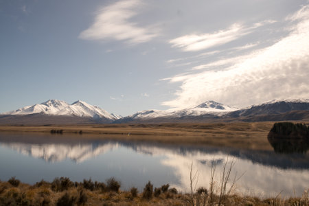 Grassy foreshore on the edge of Lake Clearwater beneath the southern alps in Hakatere conservation parkの写真素材