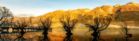 Stunning view of the row of willow trees growing in Lake Wakatipu beneath the southern alpsの写真素材