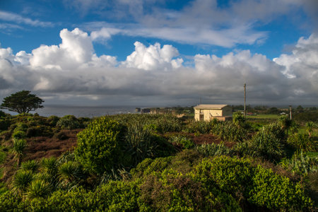 Rugged beach and costal scene on the cliffside walk by the oceanの写真素材