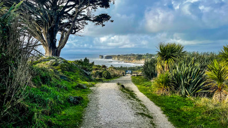 Rugged beach and costal scene on the cliffside walk by the oceanの写真素材