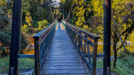 walking over the pedestrian swing bridge at Lake Matheson