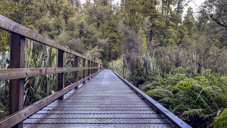 Hiking over the bridge over the lakesideの写真素材