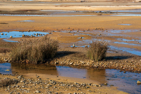 Low tide in the low tide. Salt evaporation ponds.