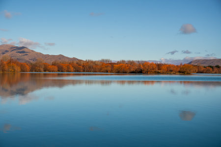 View of Wairepo arm , and its vibrant autumn colour at a body of Lake Ruataniwha, Twizel