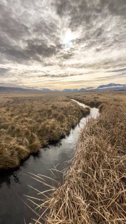Meadow with a stream and clouds in the sky in winterの写真素材
