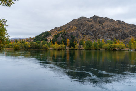 Autmnal foliage on the poplar trees around the Waitaki river Lake Benmoreの写真素材