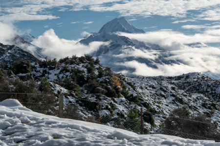 Fresh dump of snow in the valley on the way to Mt Cook National Park