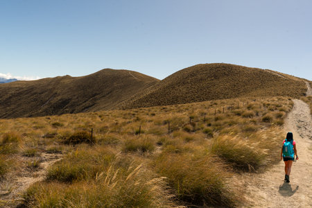Rear view of hiker enjoy the  views of lake Hawea from the Isthmus track walkwayの写真素材