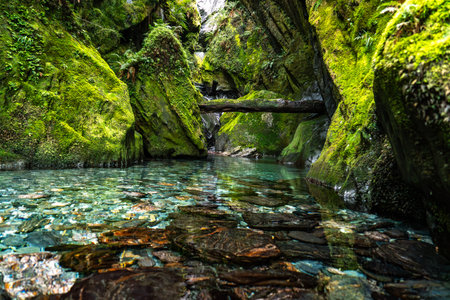 Other worldly river chasm at Thompson creek. There are many of these creeks driving through the Haast Passの写真素材