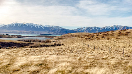 Scenery of lake Alexandrina an alpine lake neighbouring Lake Tekapoの写真素材