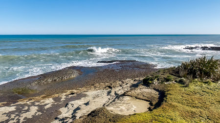 Hiking the short Trueman Track through native forest to a secret beach on the West Coast of the South Island NZの写真素材