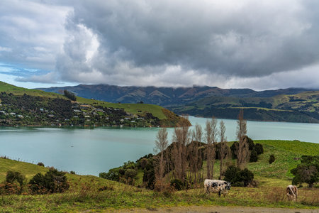 Agricultural farmland pasture fields surrounding the Akaroa french harbour settlement