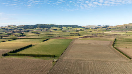 Aerial view of rural landscape with fields and hills in New Zealandの写真素材