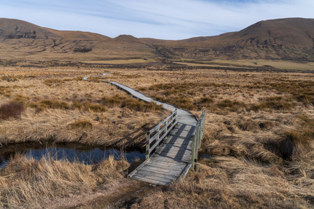 Views of alpine tussock land and mountains on shore of Lake Clearwater from the circuit track around the lakeの写真素材