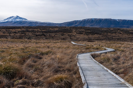 Views of alpine tussock land and mountains on shore of Lake Clearwater from the circuit track around the lakeの写真素材