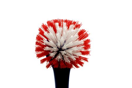 Cleaning brush on a white background