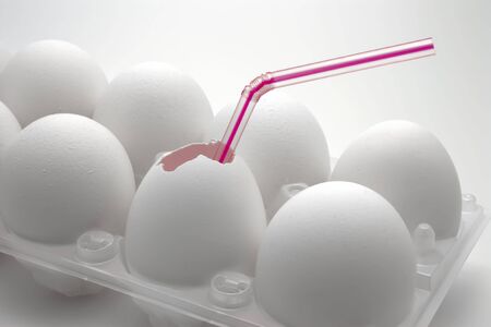 White eggs in plastic boxの写真素材