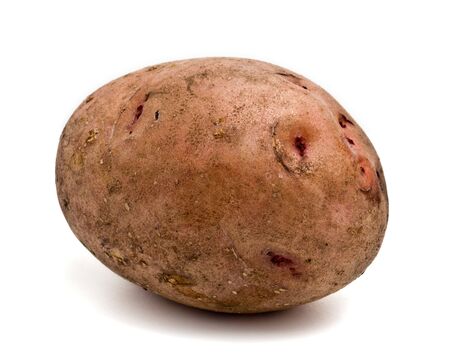 raw potato on a white backgroundの写真素材