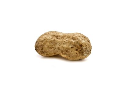 nutの写真素材