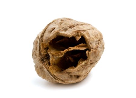 empty nutの写真素材