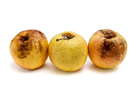 rotten applesの写真素材