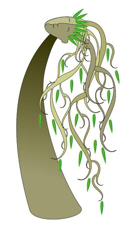 green tree osierのイラスト素材