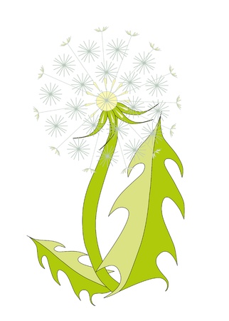 Dandelion on white background. Cartoon object.のイラスト素材