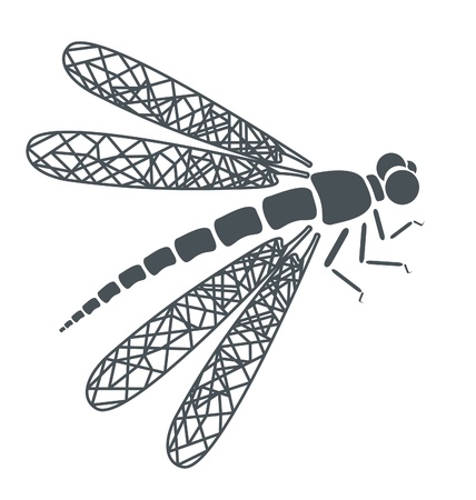 abstract tattoo -  insect dragonfly on white backgroundのイラスト素材