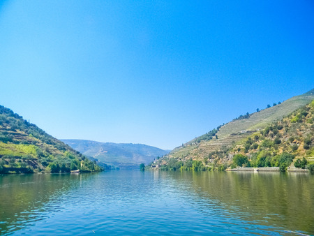 Vineyards of the Douro Valley in Pinhao, Portugalの写真素材