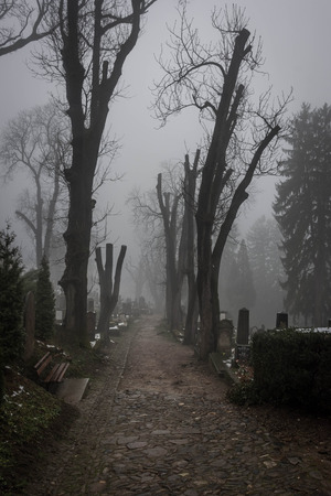 Fog in the creepy graveyard of Sighisoara, Romaniaの写真素材