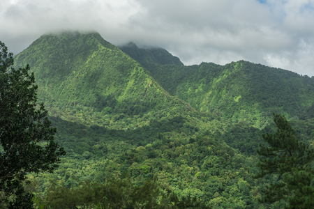 Mount Pelee Volcano and the jungle of Martiniqueの写真素材